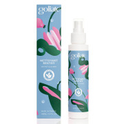 Антибактеріальний спрей для іграшок Goliate Nettoyant Sextoy 100 мл, безпечний для тіла